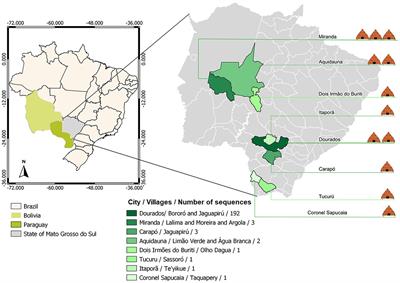 Genomic characterization of SARS-CoV-2 from an indigenous reserve in Mato Grosso do Sul, Brazil
